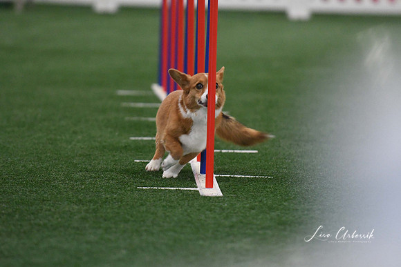 DigitalDSC_5160