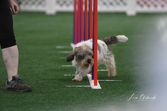 DigitalDSC_5277