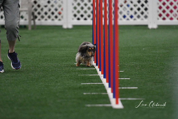 DigitalDSC_5243