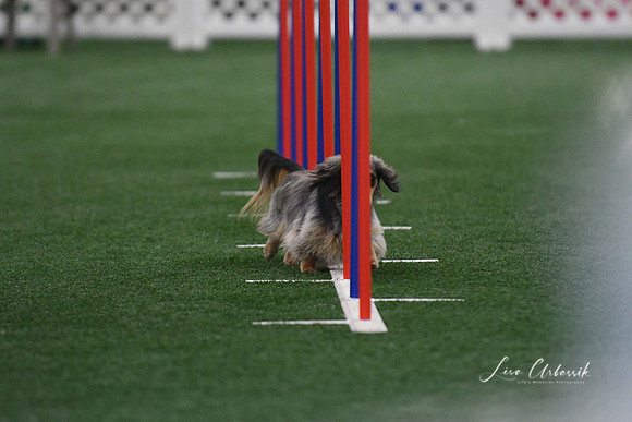 DigitalDSC_5255
