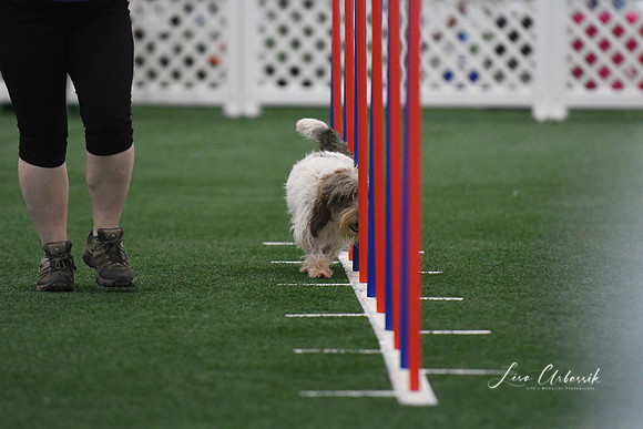 DigitalDSC_5266