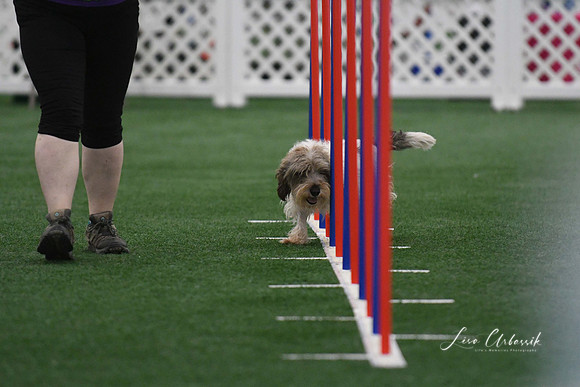 DigitalDSC_5264