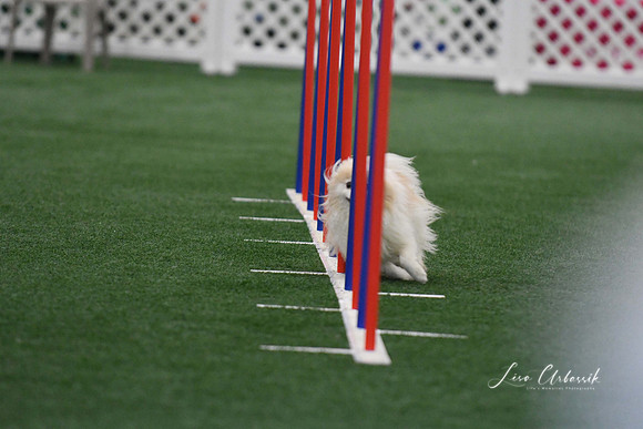 DigitalDSC_5108