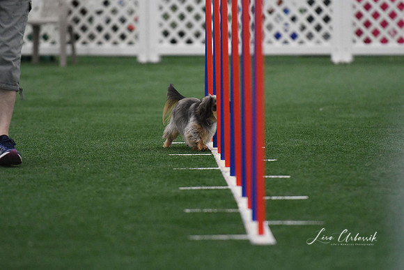 DigitalDSC_5244