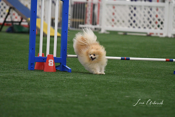 DigitalDSC_5239