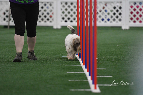 DigitalDSC_5263