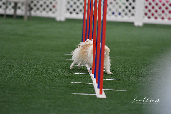 DigitalDSC_5107