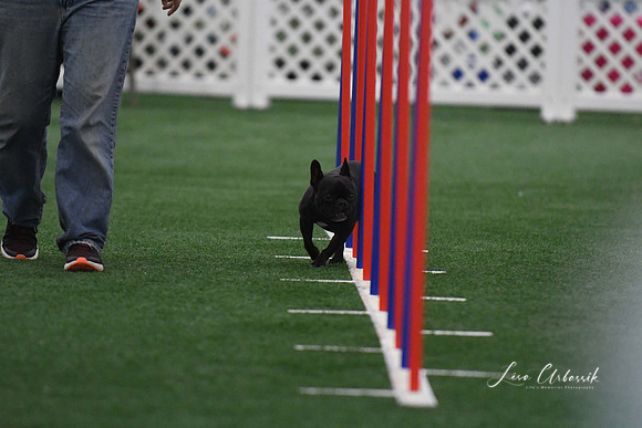 DigitalDSC_5135