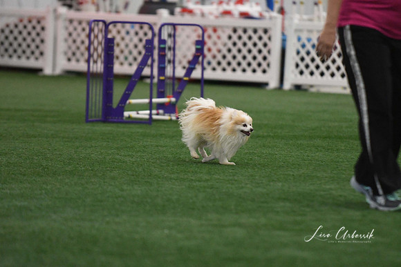 DigitalDSC_5119