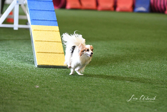 DigitalDSC_5129