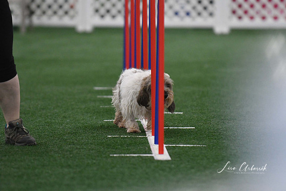 DigitalDSC_5275