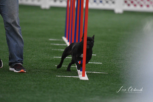 DigitalDSC_5145