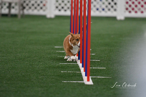 DigitalDSC_5152