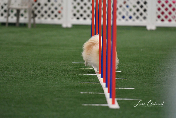 DigitalDSC_5234