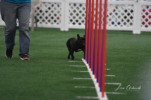 DigitalDSC_5130