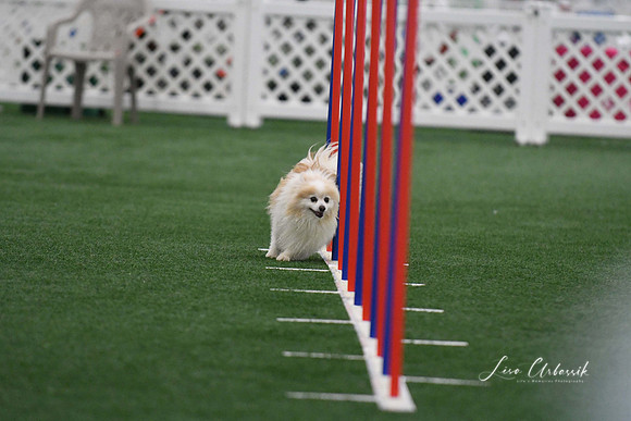 DigitalDSC_5101