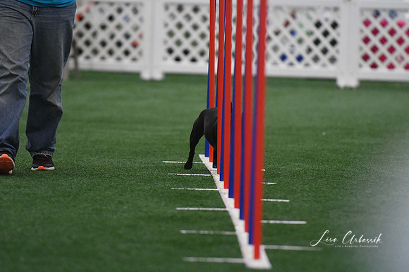 DigitalDSC_5134