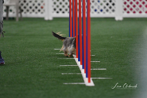 DigitalDSC_5249