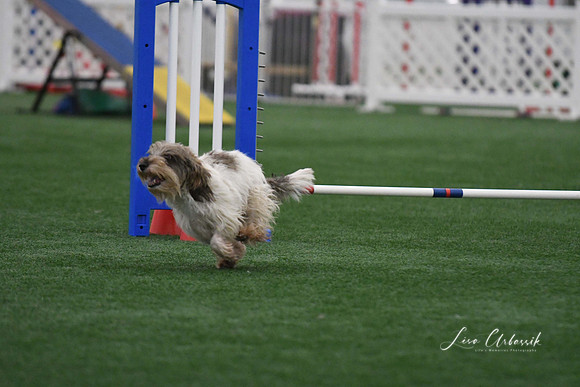 DigitalDSC_5278