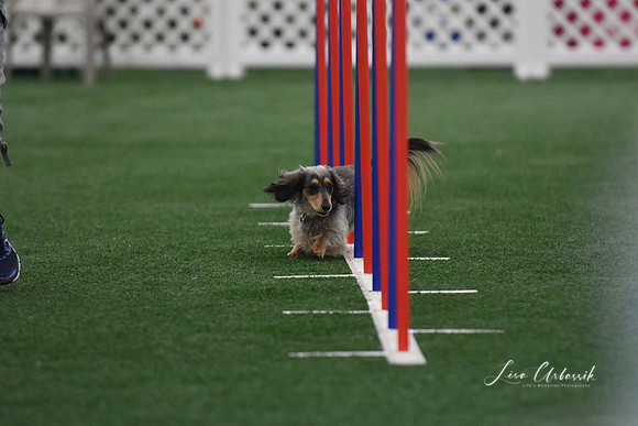 DigitalDSC_5250