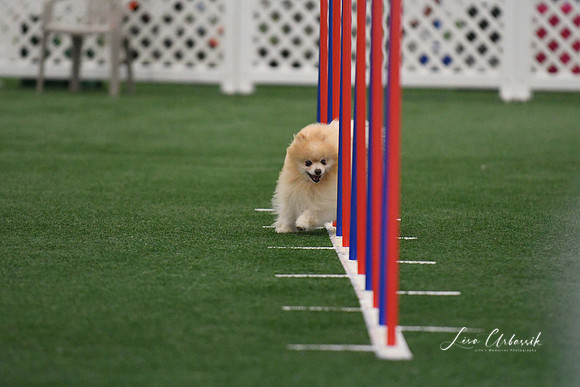DigitalDSC_5232