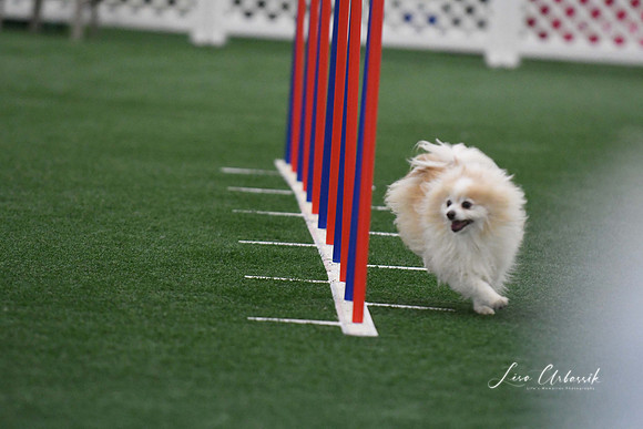 DigitalDSC_5111