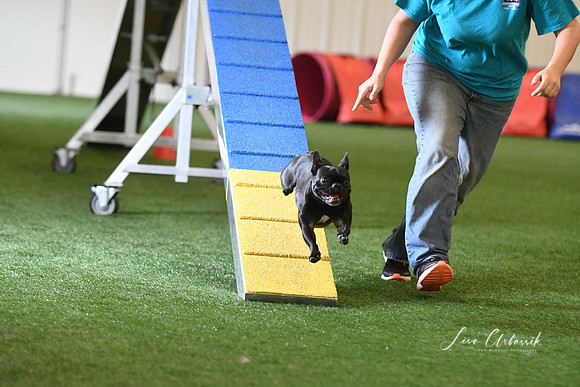 DigitalDSC_5150