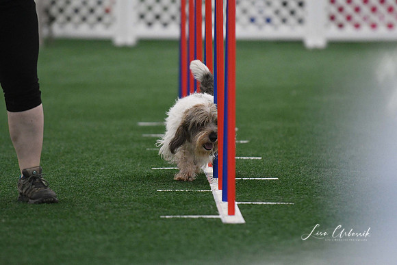 DigitalDSC_5274
