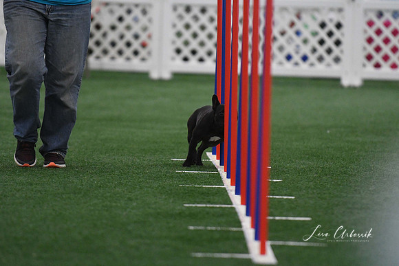 DigitalDSC_5133