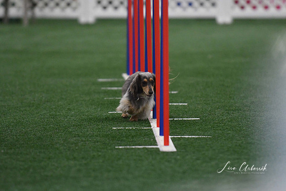 DigitalDSC_5254