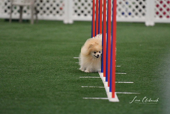 DigitalDSC_5235