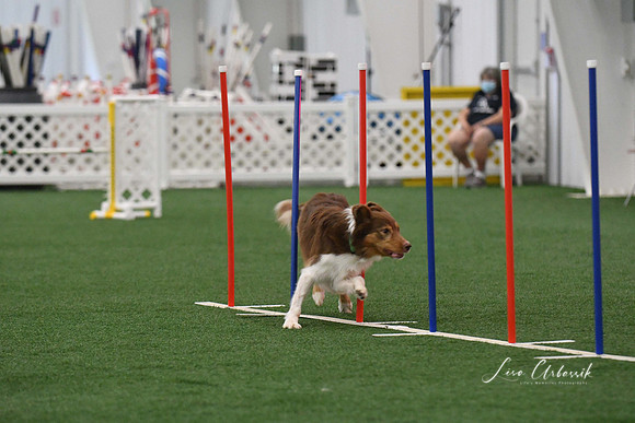 DigitalDSC_3409