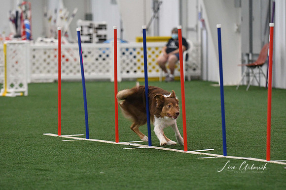 DigitalDSC_3411