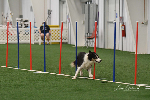 DigitalDSC_3337