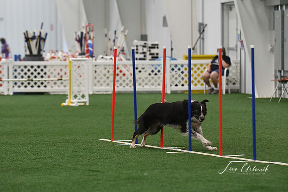 DigitalDSC_3372