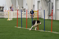 DigitalDSC_3334