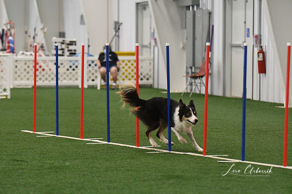 DigitalDSC_3336
