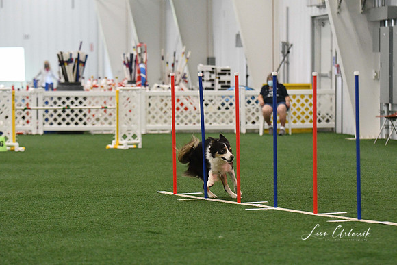 DigitalDSC_3330