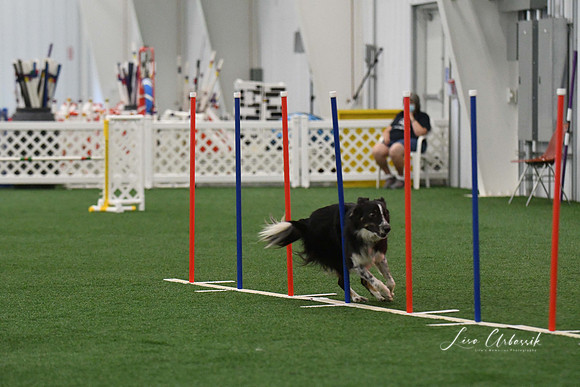 DigitalDSC_3373