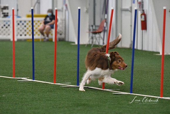 DigitalDSC_3415