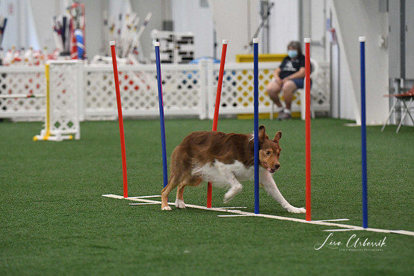 DigitalDSC_3410