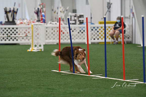 DigitalDSC_3408