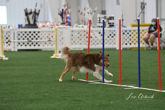 DigitalDSC_3407