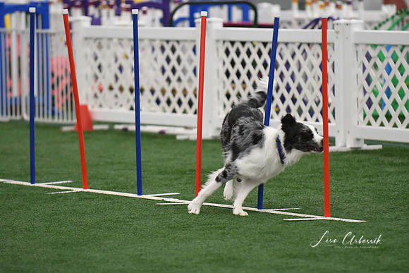 DigitalDSC_1693