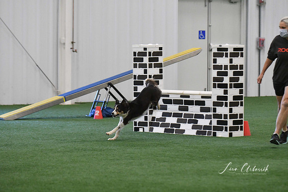 DigitalDSC_1635