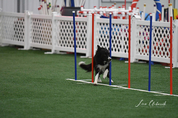 DigitalDSC_1731