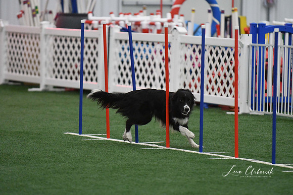 DigitalDSC_1733