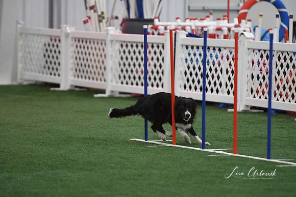 DigitalDSC_1730