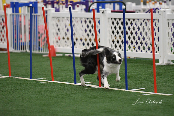 DigitalDSC_1692