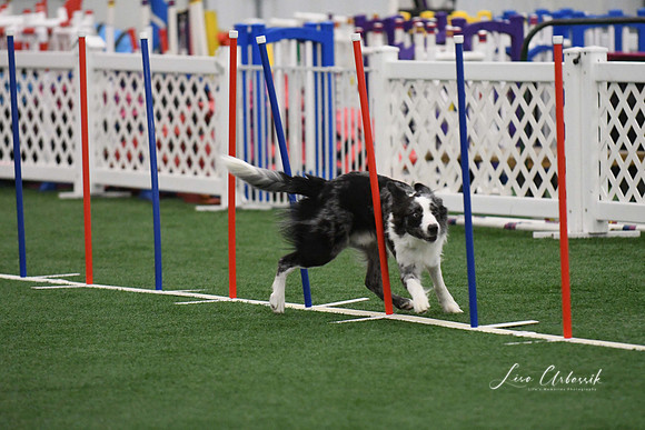 DigitalDSC_1689